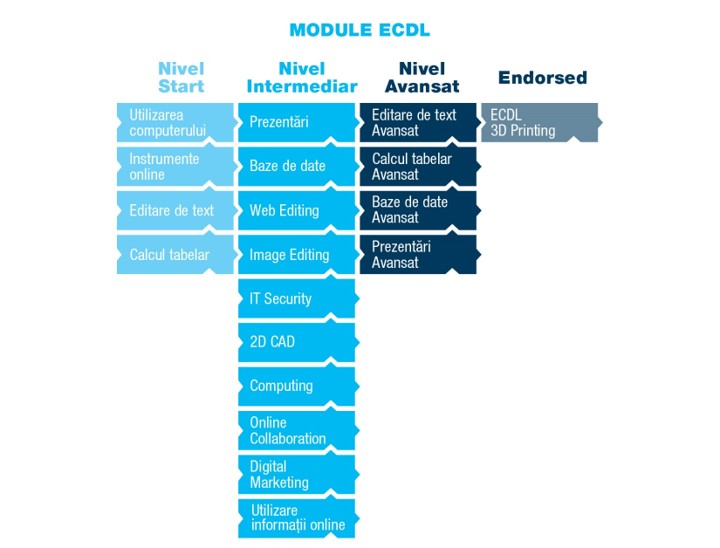 module